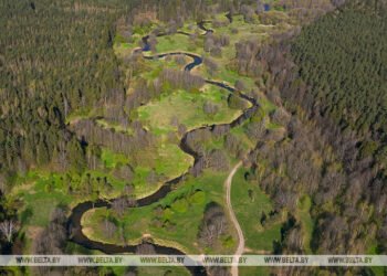 Lukashenko names goals for Pripyat Polesie growth