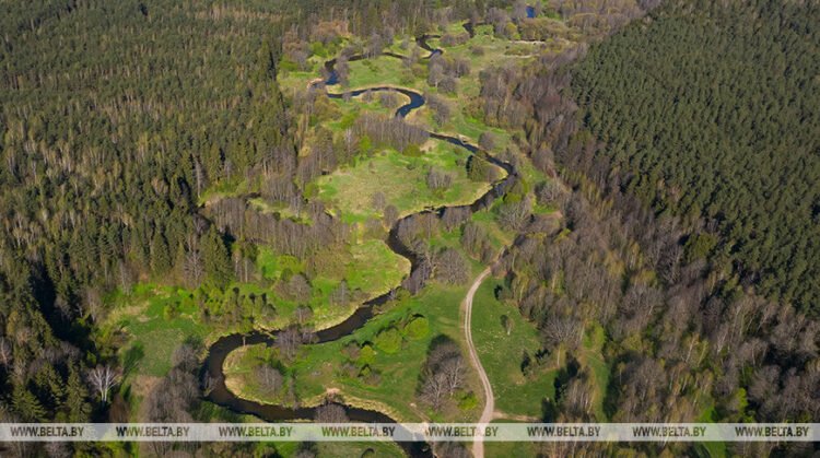Lukashenko names goals for Pripyat Polesie growth