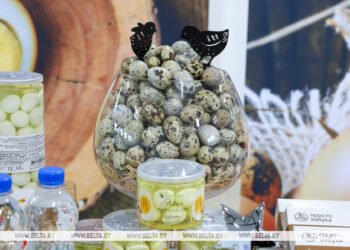 Soligorsk Poultry Factory plans to supply its products to China