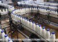 Brest sells meat, dairy products to Malaysia, Ivory Coast, road machinery to Gulf countries