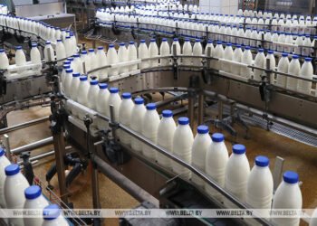 Brest sells meat, dairy products to Malaysia, Ivory Coast, road machinery to Gulf countries
