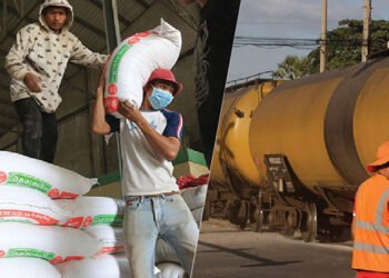 The rice shield: Leveraging food security against the energy crisis