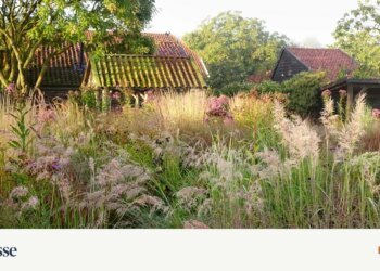 Between wilderness and perfection: How Piet Oudolf’s gardens work – DiePresse.com