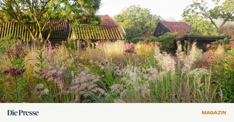 Between wilderness and perfection: How Piet Oudolf’s gardens work – DiePresse.com