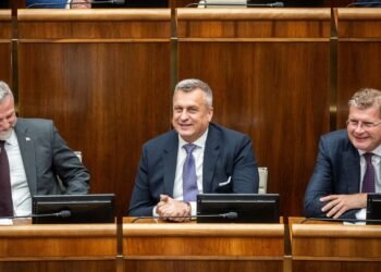 Due to a fight in the parliament, they stopped the negotiations on the election from abroad. SNS sets a new condition for it