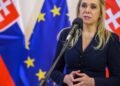 Saková is preparing dozens of measures in several rounds, but she is postponing the fundamental ones