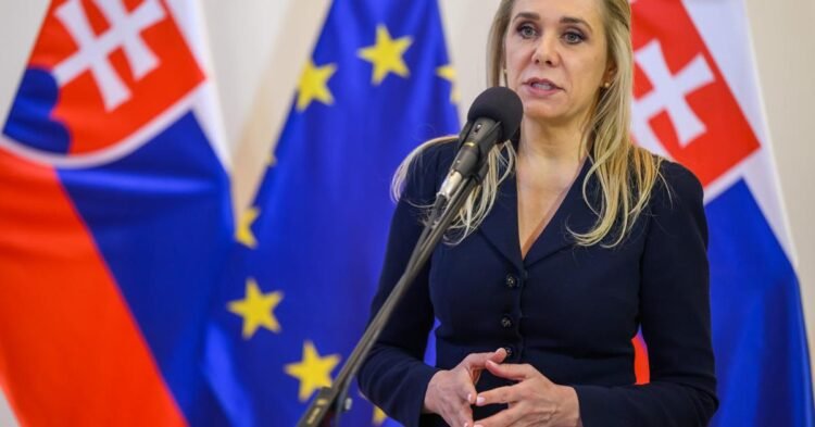 Saková is preparing dozens of measures in several rounds, but she is postponing the fundamental ones