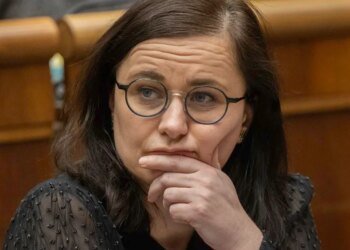 Danko expelled Mesterová from the hall, the negotiations on the election from abroad were interrupted