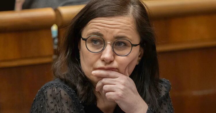 Danko expelled Mesterová from the hall, the negotiations on the election from abroad were interrupted