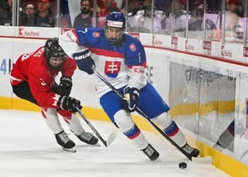Czechs report: Slovaks trumped us! They have something that we lack, the Canadians lament – Representation – Hockey
