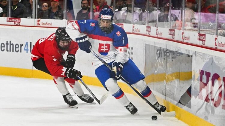 Czechs report: Slovaks trumped us! They have something that we lack, the Canadians lament – Representation – Hockey