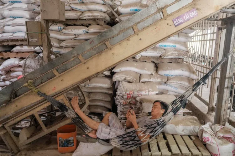 Rice prices soar amid Iran war fallout