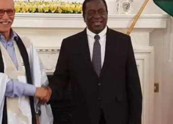 Zimbabwe congratulates Sahrawi Republic on 50th anniversary