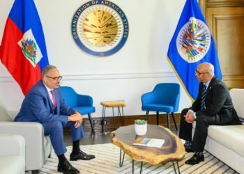 FRG and elections on the menu of the conversation between Ramdin and Fils-Aimé