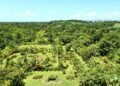 Vandalism at the Les Cayes Botanical Garden: the Ministry of the Environment orders urgent measures