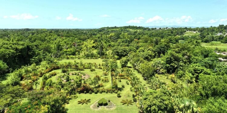 Vandalism at the Les Cayes Botanical Garden: the Ministry of the Environment orders urgent measures