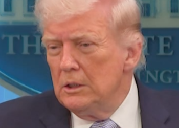 Video: Trump responds to question on his mental well-being after profane post