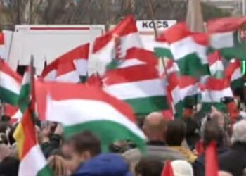 •
          Video
        
        0:45
      
    
    
      
        
        
        CNN