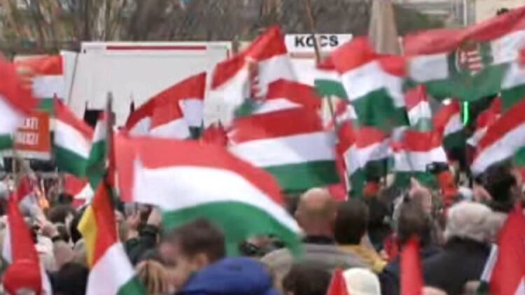 •
          Video
        
        0:45
      
    
    
      
        
        
        CNN