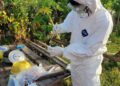 Govt urges caution as another case of bird flu detected