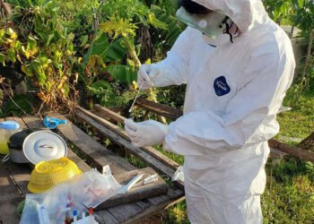 Govt urges caution as another case of bird flu detected
