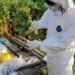 Govt urges caution as another case of bird flu detected