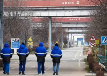 Regular rotation of IAEA inspectors takes place at Zaporozhye nuke plant – Business & Economy