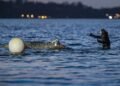 Stranded whale in Germany shows movement for first time since March 31 — media – Society & Culture