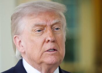Trump plans to invite Russian president to G20 summit in December — WP – World