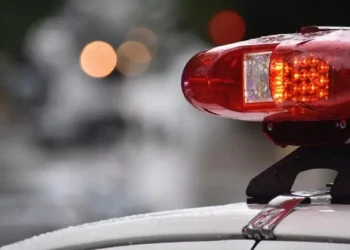A man was convicted of touching himself inappropriately while traveling by bus in Montevideo: he will serve preventive detention