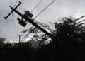 An orange weather danger code has been announced in Moldova. Wind gusts – up to 26 m/s
