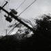 An orange weather danger code has been announced in Moldova. Wind gusts – up to 26 m/s