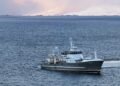 Off to herring measurements