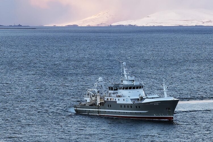 Off to herring measurements