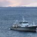 Off to herring measurements