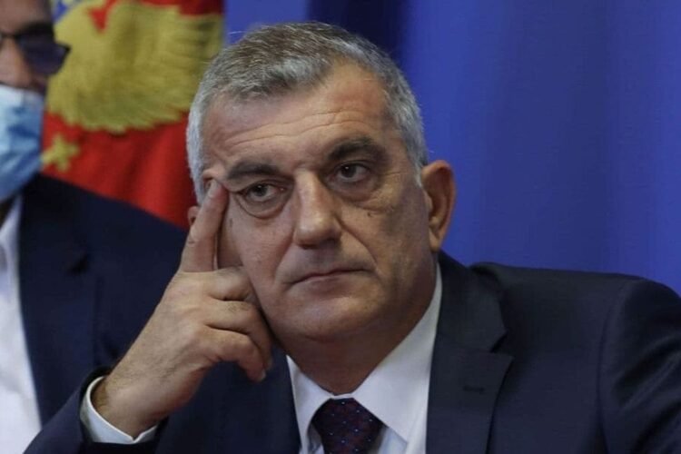 Bojanić: Ibrahimović is an orthodox ignoramus and an unprecedented hypocrite, synonymous with fickleness