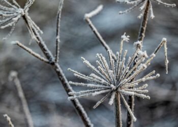 Evidence of a cooling economy