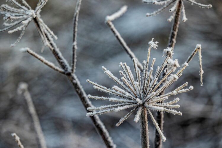 Evidence of a cooling economy