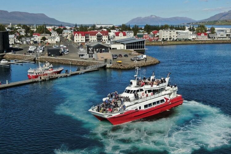 Nearly 20 degrees Celsius – Iceland Monitor