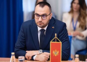 Stjepović: If what happened in Montenegro happened in America, there would be political vulture, the nation is united there