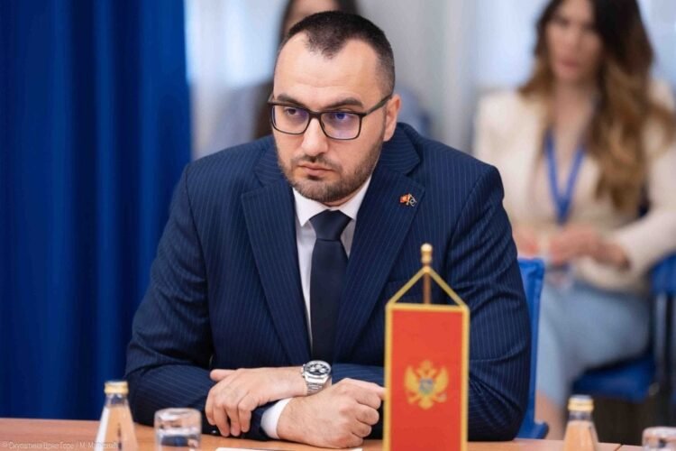 Stjepović: If what happened in Montenegro happened in America, there would be political vulture, the nation is united there