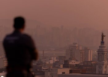 Air pollution in São Paulo increases the risk of kidney disease – 04/12/2026 – Equilíbrio e Saúde