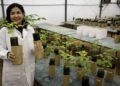 Brazilian enters the list of the 100 most influential in the world – 04/15/2026 – Economy
