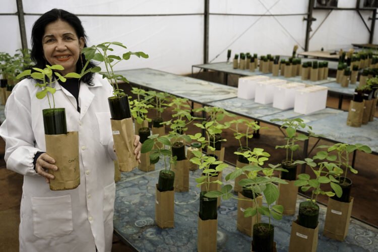 Brazilian enters the list of the 100 most influential in the world – 04/15/2026 – Economy
