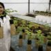 Brazilian enters the list of the 100 most influential in the world – 04/15/2026 – Economy
