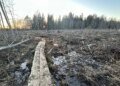 EestiKirik made a clearing on the school’s hiking trail to raise money (11)