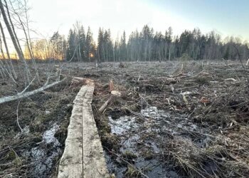 EestiKirik made a clearing on the school’s hiking trail to raise money (11)