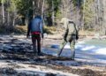 Suspected Ust-Luga oil pollution reached the northern coast of Estonia