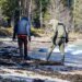 Suspected Ust-Luga oil pollution reached the northern coast of Estonia