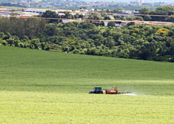 Biodiesel criticizes government for encouraging imported fossil fuels – 04/22/2026 – Economy